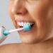ToothShower Irrigating Single Head Toothbrush Suite Accessory - Replacement Heads & Water Pick Accessories - Oral Irrigator for Braces - Blue - Buy Online on GoSupps.com