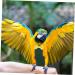 Buy Mipcase 3st Flying Bird Diapers - Premium Cotton Chicken & Parrot Clothing for Small Pets | International Shipping Available - Buy Online on GoSupps.com