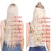 Buy Real Hair Clip-In Extensions | 25cm 5Clips Thick 7A Bleach Blonde - Soft Human Hair - Buy Online on GoSupps.com