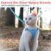 Reflective Mesh Cat Harness and Leash Set - Escape Proof Kitten and Puppy Vest - Comfort Fit and Lightweight - Easy Control - Small Blue - Buy Online on GoSupps.com