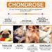 RSGRT Hip and Joint Supplements Chews for Dogs 150PCS Hip & Joint Care Tablets with Glucosamine Chondroitin Green-Lipped Mussels and Vitamins for Dog Joint Care (Duck Flavor) dog joint chews 150PCS - Buy Online on GoSupps.com