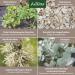 AniForte Bronchial Herbs for Horses 1kg - Natural Respiratory Support with Methylcysteine | Cough Relief & Healthy Airways - Buy Online on GoSupps.com