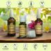Nail Oil 10ml - 100% Natural Lemon Ylang-Ylang Jojoba & Grape Seed Oil for Strengthening & Growth - Cuticle Care for Dry & Fragile Nails - Buy Online on GoSupps.com