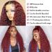20 Burgundy Lace Front Human Hair Wig 99J - Pre Plucked Kinky Curly HD Transparent 360 Full Lace Wig for Women - Buy Online on GoSupps.com