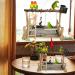 Hamiledyi Parrot Playground Bird Playstand with Feeder Cups and Toys - Exercise Gym for Cockatiel, Conure, Lovebirds - Pet Activity Center and Training Stand - Buy Online on GoSupps.com