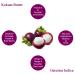 Raw Kokum Butter 8 oz - 100% Pure Natural Moisturizer for Skin Hair & DIY Creams Balms Lotions Soap Making - Buy Online on GoSupps.com
