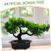 Zerodeko Artificial Pine Potted Plant Mini Fake Potted Plant Office - Buy Online on GoSupps.com