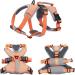 Belpro Multi-Purpose Dog Harness | No Pull Reflective & Adjustable Vest | Durable Handle & Dog Dishes for Large Dogs | XL Orange - Buy Online on GoSupps.com