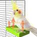 GIFANK Bird Heater for Cage Bird Perch Stand Warmer Snuggle Up for African Grey, Parakeets, Parrots, Small Birds 12V 3.3"x6" Bird Perch Stand Heater