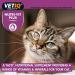 VETIQ Nutri-Vit Plus for Cats (70g) - Essential Cat Supplement for Illness Recovery and Energy Boost - Buy Online on GoSupps.com