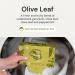 Grab Green Stoneworks Dryer Sheets - Cruelty-Free Plant-Based Birch Branch Scent Softens Fabrics Reduces Static & Wrinkles (80 Sheets - Buy Online on GoSupps.com
