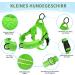 Eyein No-Pull Dog Harness with Leash - Soft Padded Reflective & Adjustable for Puppies Small & Large Dogs Cats - Green XXS - Buy Online on GoSupps.com