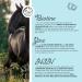 Horse Biotin Zinc Liquid 1000 ML - Skin Hair and Hoof Care for Horses - Biotin Zinc and MSM Liquid for a Healthy Coat - Coat and Hoof Care for Horses - Buy Online on GoSupps.com