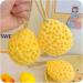 Natural Sea Wool Bath Sponges with Lanyard - Exfoliating Body Scrubber (4 Pack) - Buy Online on GoSupps.com