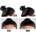 Thickening Hairline Shadow Pressed Powder to Volumize Hair Cover Grey Roots with Soft Sponge Portable for Travel Safe Ingredients 12g (Black) - Buy Online on GoSupps.com
