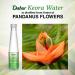 Dabur Kewra Water 250ml - Pure Kewda Essence for Skin & Hair | International Shipping Available - Buy Online on GoSupps.com