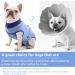 Convinite Recovery Suit for Dogs | Breathable Wound Protection After Castration | Male & Female Dog Body Suit | Adjustable Blue - Buy Online on GoSupps.com