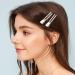 60 Pcs Double Prong Curl Clips - 1.8 Hair Setting Section Clips for Styling - Silver Pin Curl Clips for Salon & Barber - Buy Online on GoSupps.com