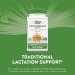 Nature's Way Fenugreek and Blessed Thistle | Fenugreek Seed Lactation Support Bundle Thistle + Seed - Buy Online on GoSupps.com