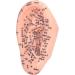6.7 inch Silicone Ear Acupuncture Model - Ideal for Acupoint Learning & Home Care - Buy Online on GoSupps.com