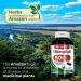 FITO MEDIC'S Lab 800mg Chlorophyll Softgels- Detox Cleanse Greens Supplement - Buy Online on GoSupps.com