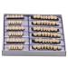 Angzhili Dental Synthetic Acrylic Resin False Teeth Halloween Horror Denture Set A3 (168pcs) - Buy Online on GoSupps.com