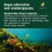 Vitactiv Natural Nutrition VITACTIV Omega 3 pack of 60 capsules of algae oil Omega 3 Vegan Marine Highly dosed with 1000 mg microalgae oil per daily dose 450 mg omega3 fatty acids DHA & EPA - Buy Online on GoSupps.com