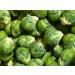 10+ "Long Island Improved" Brussels semi -Family Favorite Sweets