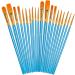 Soucolor Acrylic Paint Brushes Set, 20Pcs Round Pointed Tip Artist Paintbrushes for Acrylic Painting Oil Watercolor Canvas Boards Rock Body Face Nail Art, Halloween Pumpkin Ceramic Crafts Supplies