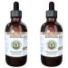 Echinacea Alcohol-Free Liquid Extract Echinacea (Echinacea Angustifolia) Dried Root Glycerite Hawaii Pharm Natural Herbal Supplement 2x4 oz 8 Fl Oz (Pack of 1)