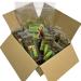 Horse Herbs Natural Treat Box 100% Natural Treats for Horses Chamomile Carrot Apple