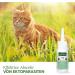 Aniforte Ectprotex Cat Spot On 50ml - Long-Lasting Tick & Parasite Protection for Cats - Effective Defense Against Fleas & Mites - Buy Online on GoSupps.com