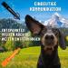 Gizzy Dog Whistle - Loud & Reliable Training Tool | 2-Pack Orange/Black - Effective Dog Training - Buy Online on GoSupps.com