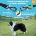 Buy Aystkniet Bungee Drag Line for Dogs | Shock-Absorbing Leash with Padded Handle - 3m 5m 10m 15m 20m 30m Options - Reflective Lockable Hook for Medium & Large Dogs - Green - Buy Online on GoSupps.com