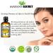 Buy USDA Certified Organic Evening Primrose Oil - Natural Unrefined & Cold Pressed Carrier Oil for Skin & Hair Rejuvenation - International Shipping - Buy Online on GoSupps.com
