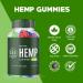 Evergreen Gummies - Evergreen Gummies with Extra Strength Formula Evergreen Gummies 25mg Per Gummy 1500mg Per Bottle Evergreen Gummies for Overall Daily Wellness Support Made in USA (60 Gummies) - Buy Online on GoSupps.com