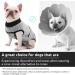Convinite Recovery Suit for Dogs | Breathable Wound Protection Post-Op Castration | One-Piece Design with Push Buttons | Gray | Ideal for Male & Female Dogs - Buy Online on GoSupps.com