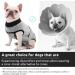 Convinite Recovery Suit for Dogs | Breathable Wound Protection for Male & Female Dogs After Castration - Buy Online on GoSupps.com