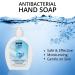 WBM Care Hand Soap - 16.8 fl oz Liquid Natural Ingredients Fresh Scent Effective Cleansing Eco-Friendly - International Shipping Available - Buy Online on GoSupps.com