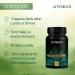 Ambrosial Glucocare - 100% Natural Sugar & Diabetes Support | Bitter Melon Neem & Black Plum | 120 Capsules (Pack of 2) | International Shipping - Buy Online on GoSupps.com