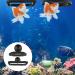Molain Fish Feeding Ring - 2 Pieces Aquarium Food Feeder Circle for Guppy, Bettas, Goldfish, Turtle - Buy Online on GoSupps.com