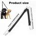 1 piece double dog lead Dual Pet Training Leash Dual Dog Leash Adjustable Dog Leash Splitter Tangle-Free Dual Dog Distribution Leash Suitable for Walking 2 Small to Medium Dogs Black - Buy Online on GoSupps.com