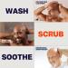 Freebird Scalp Care Kit - 3-in-1 Premium Bald Head Care for Daily Maintenance | Nourishing Detox Cleanser Soothing Shaving Refreshing Moisturizer - International Shipping Available - Buy Online on GoSupps.com