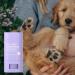 Dog Paw Rescue Balm Dog Paw Balm Dog Paw Balm Travel Dog Paw Balm 15g Dog Paw Moisturizer - Buy Online on GoSupps.com