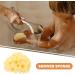 Baluue Natural Bath Sponges Foam Body Sponge Soft Exfoliating Bath Sponge Loofah Shower Sponge Body Scrubber Exfoliating Cleaning Body Sponge for Men Women Kids - Buy Online on GoSupps.com