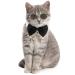 Pet Bow Tie Adjustable Formal Collar Neck Tie and Stylish Funny Cute Pet Sunglasses for Cats and Dogs, 2 Pieces (Black White)