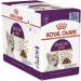 Royal Canin Sensory Taste In Jelly Wet Cat Food 12x85g - Buy Online on GoSupps.com
