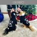 EXPAWLORER Dog Hoodie - BAD TO THE BONE Lettered Dog Sweater with Hat Pet Fall Cold Winter Clothes with Built-in Dog Lead Hole Pet Warm Outfit for Cats and Small to Large Dogs (X-Large) XL Black - Buy Online on GoSupps.com