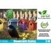 5kg Black Sunflower Seeds Wild Bird Food Sunflowers in Bucket (5kg) - Buy Online on GoSupps.com