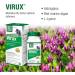 Bell Virux L Lysine & Red Marine - Herbal Immune System Booster | 1000mg Lysine Capsules (1 Pack) - Shop Internationally - Buy Online on GoSupps.com
